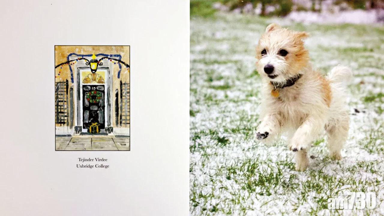 不提兒子｜官方聖誕卡愛犬做主角 約翰遜被嘲人不如狗