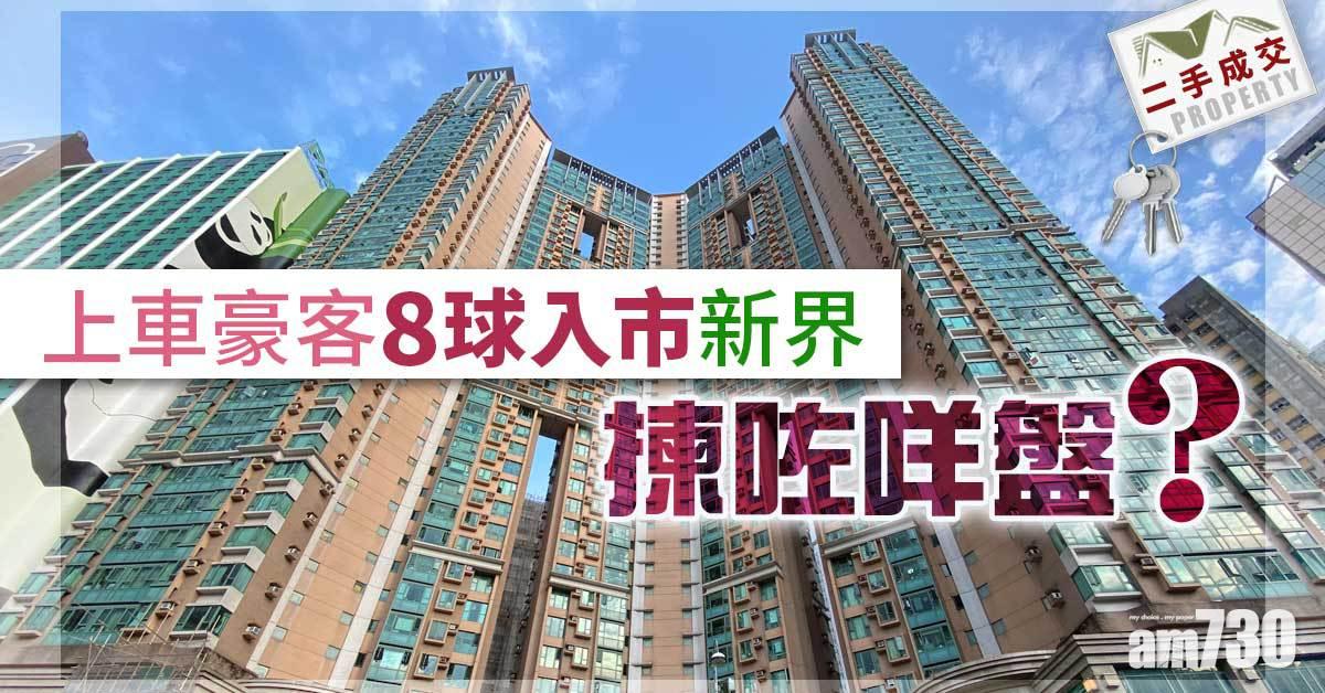 二手成交｜上車豪客8球入市新界 揀咗咩盤？