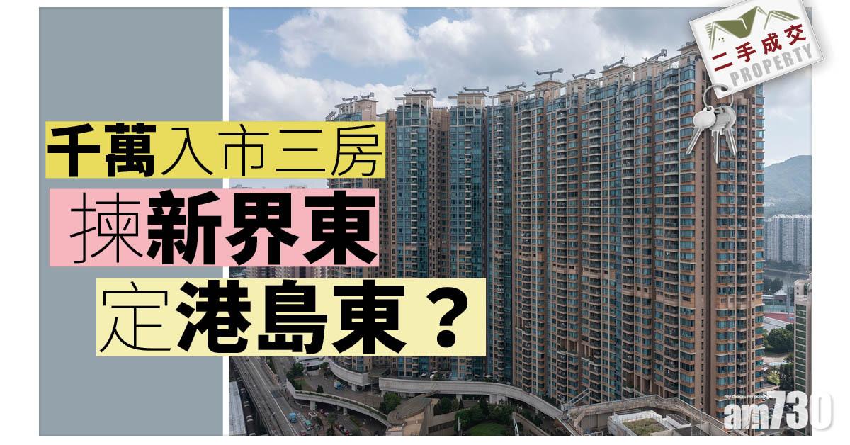 二手成交｜千萬入市三房 揀新界東定港島東？