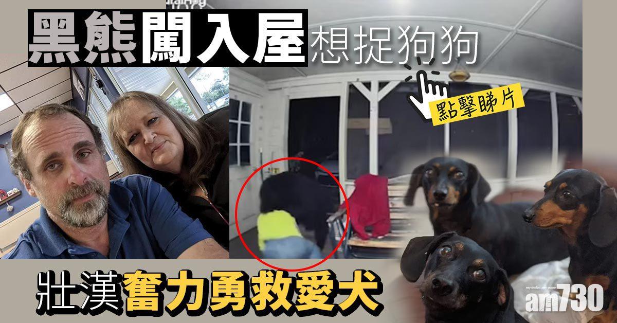 有片｜千鈞一髮！黑熊入屋捉家犬  被壯漢打面擊退