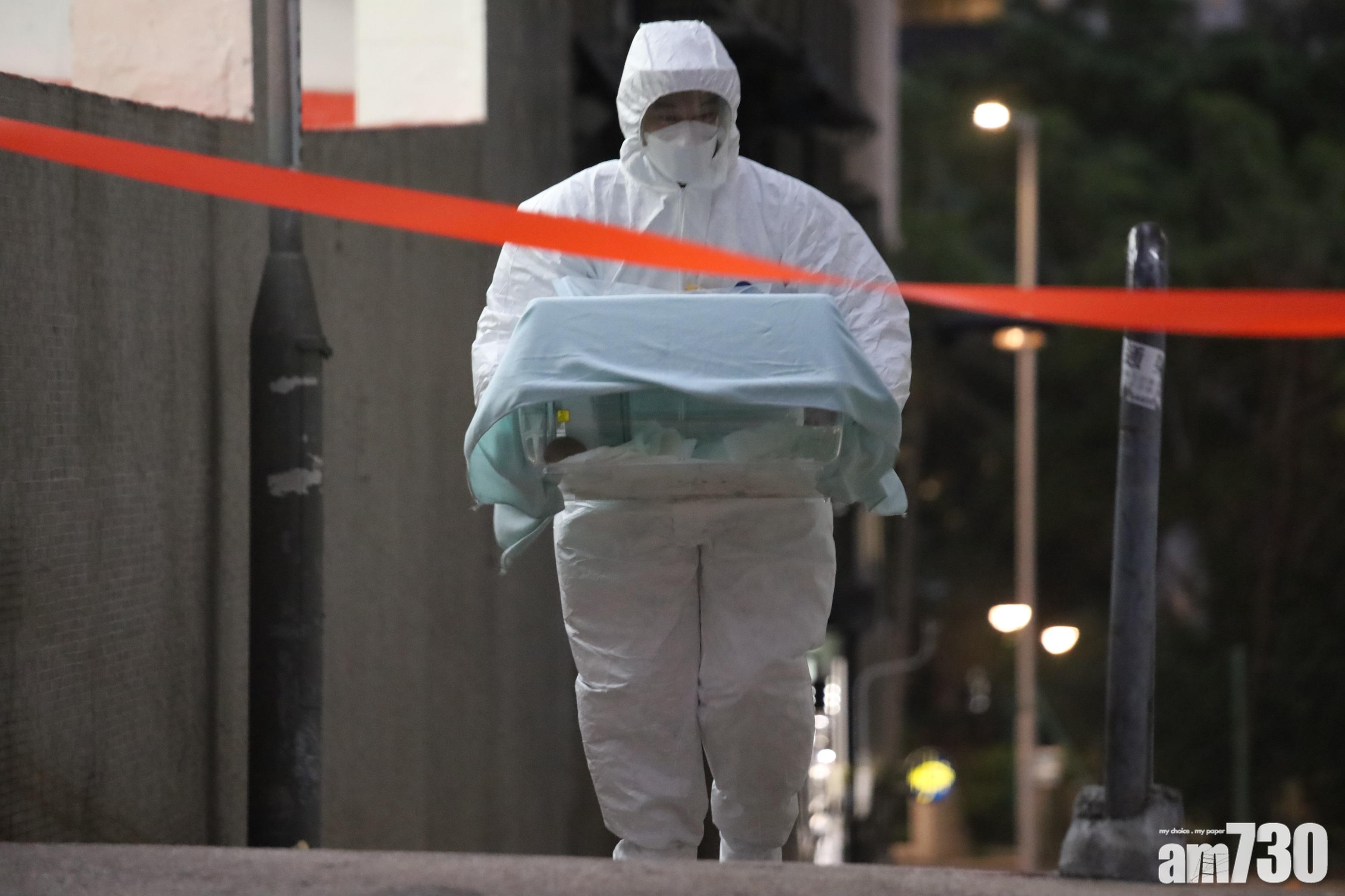 Delta｜黃大仙豪苑1座確診住戶倉鼠呈陰性　漁護署：如再測試結果滿意可歸還