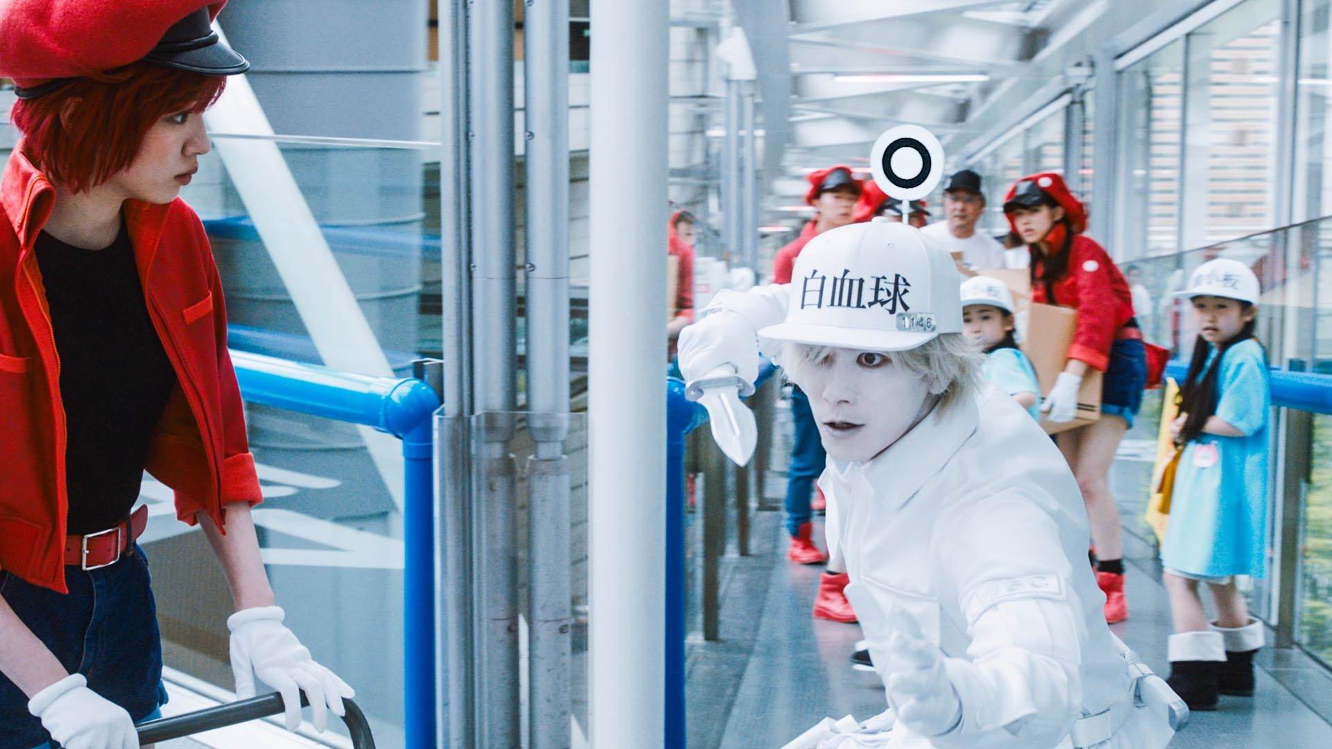 工作細胞／隔壁的房間／哈哈哈 新年喜戲／童話睇硬了｜今期睇咩戲