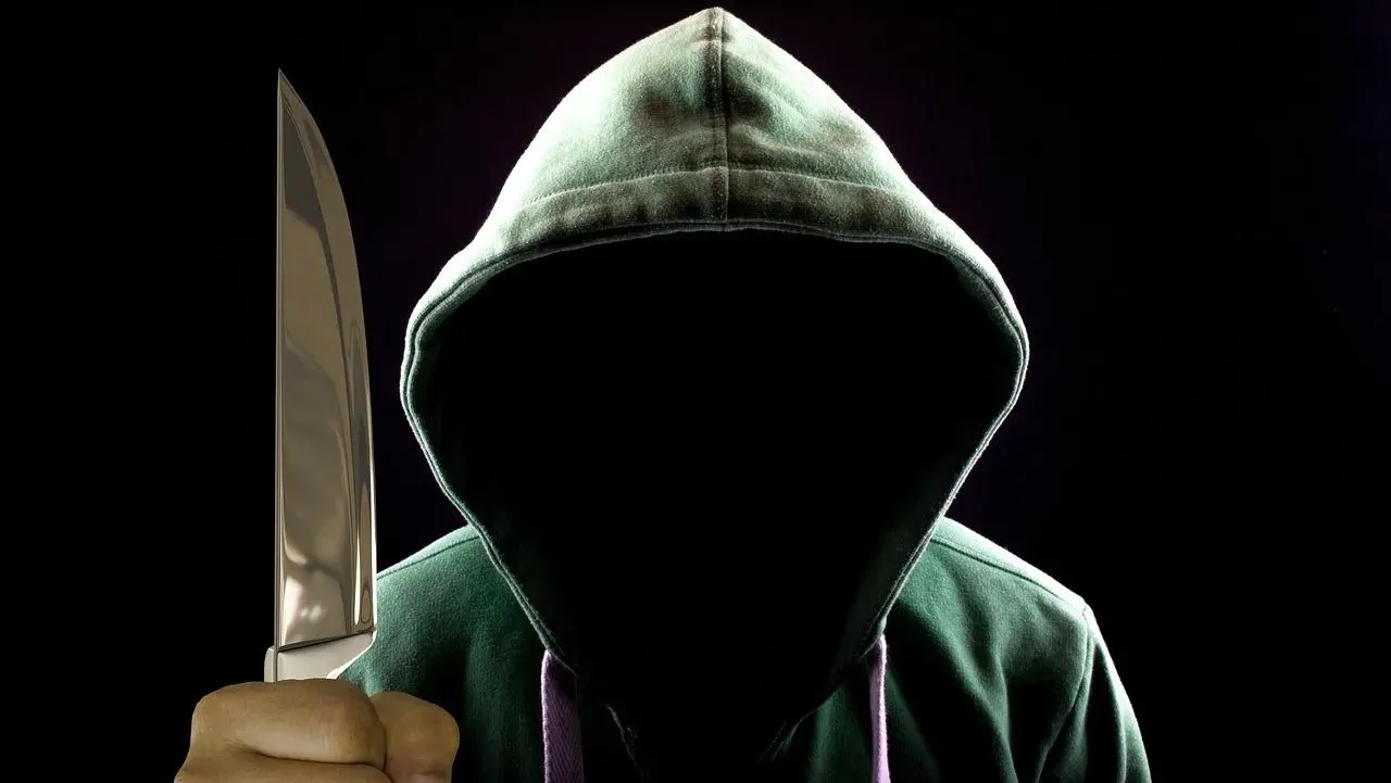 紐約精神分裂症患者涉嫌弒母　箱子藏屍　檢方卻稱證據不足　可能獲釋