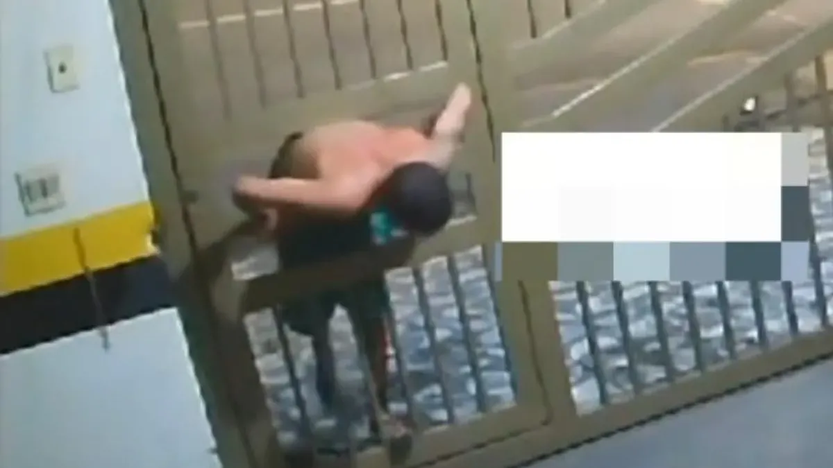 賊仔用縮骨功捐15cm縫隙偷入車庫　鐵門零破壞成功偷車