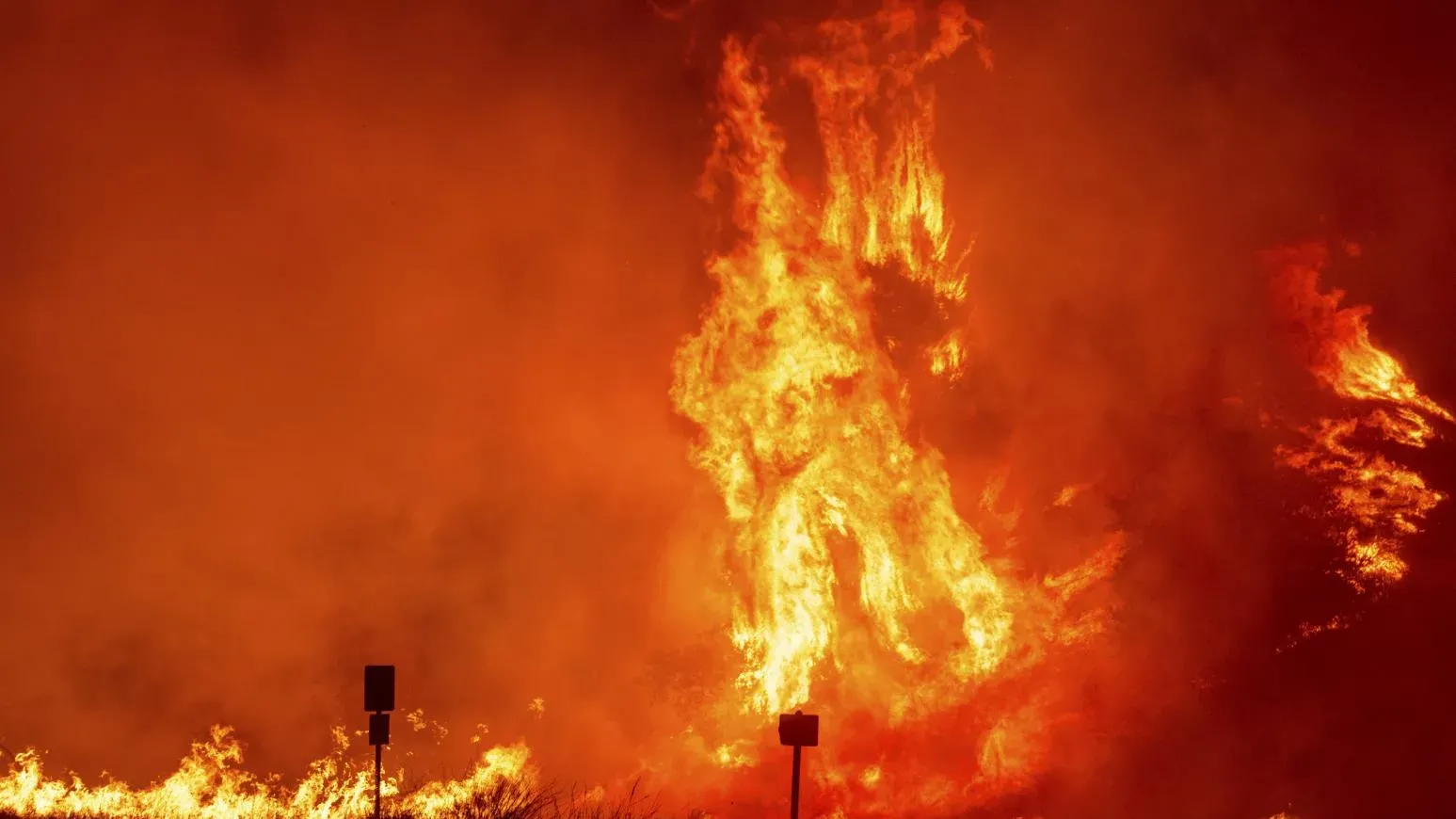 洛杉磯山火｜美國男逃過山火後回家執屋　驚見238kg大野熊