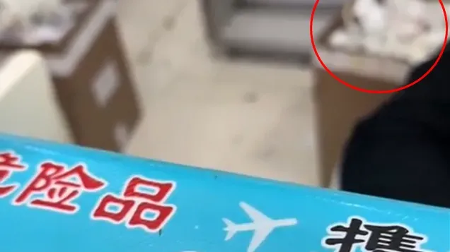 內地客坐頭等艙在機場轉機時迷路　遭惡劣地勤撕毀登機證取消登機