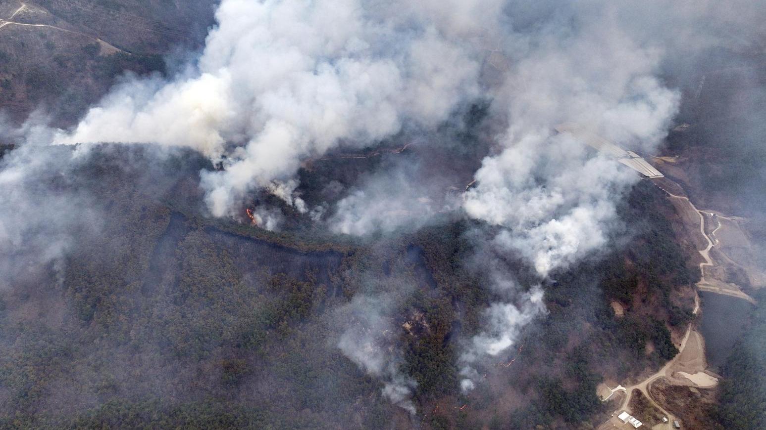 南韓山火史上最嚴重 3萬人流離失所　受災面積等於首爾80%