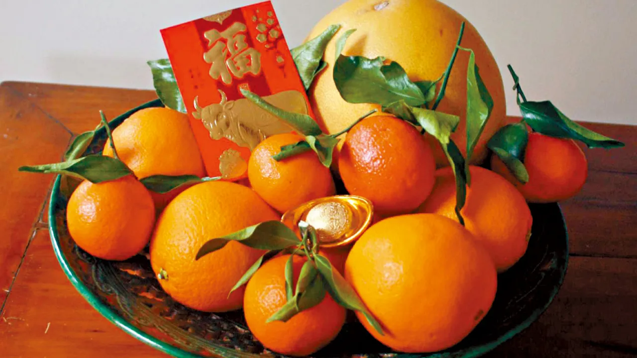 至「營」新年賀禮之選