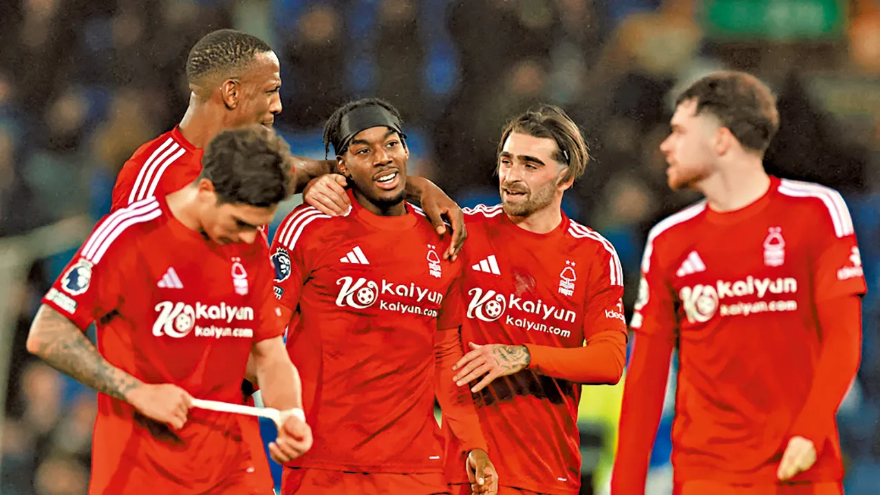 能否復興？ 諾定咸森林