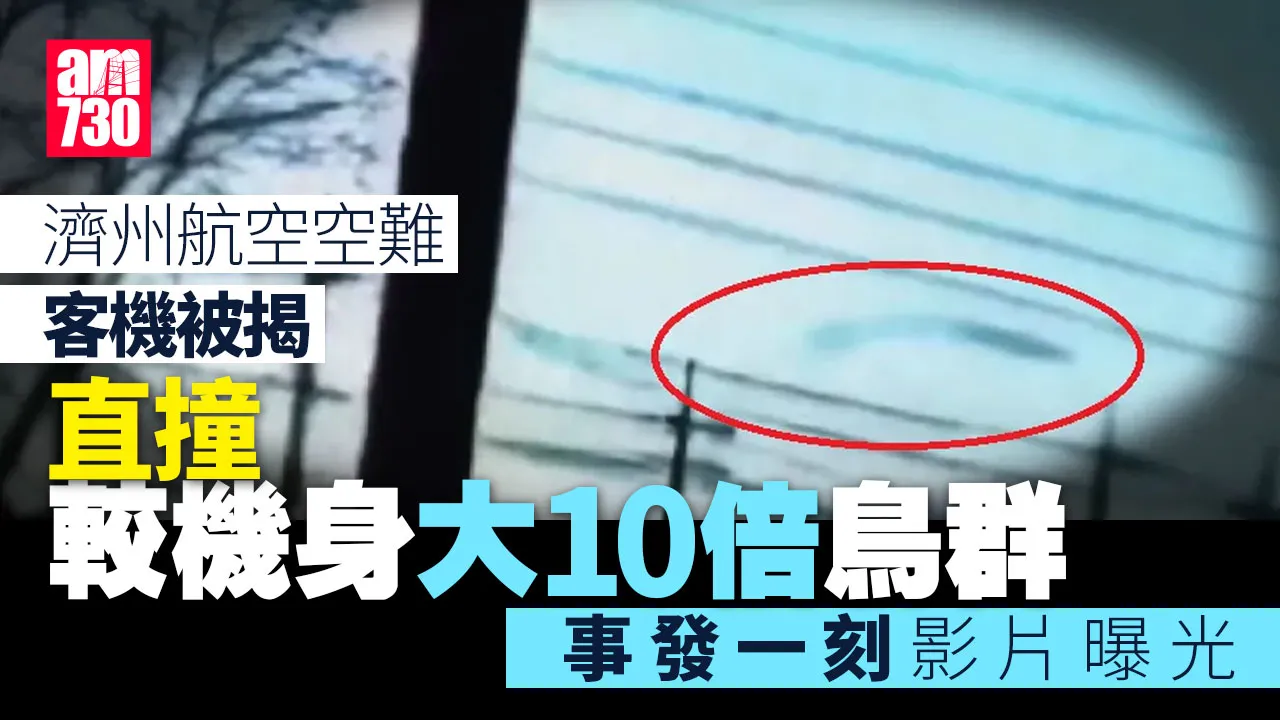 濟州航空空難｜客機「直撞10倍大鳥群」片段曝光(有片)