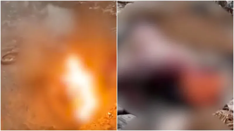 印度高壓電線掉下火燒車釀3死　當局：疑猴子蹦跳肇禍