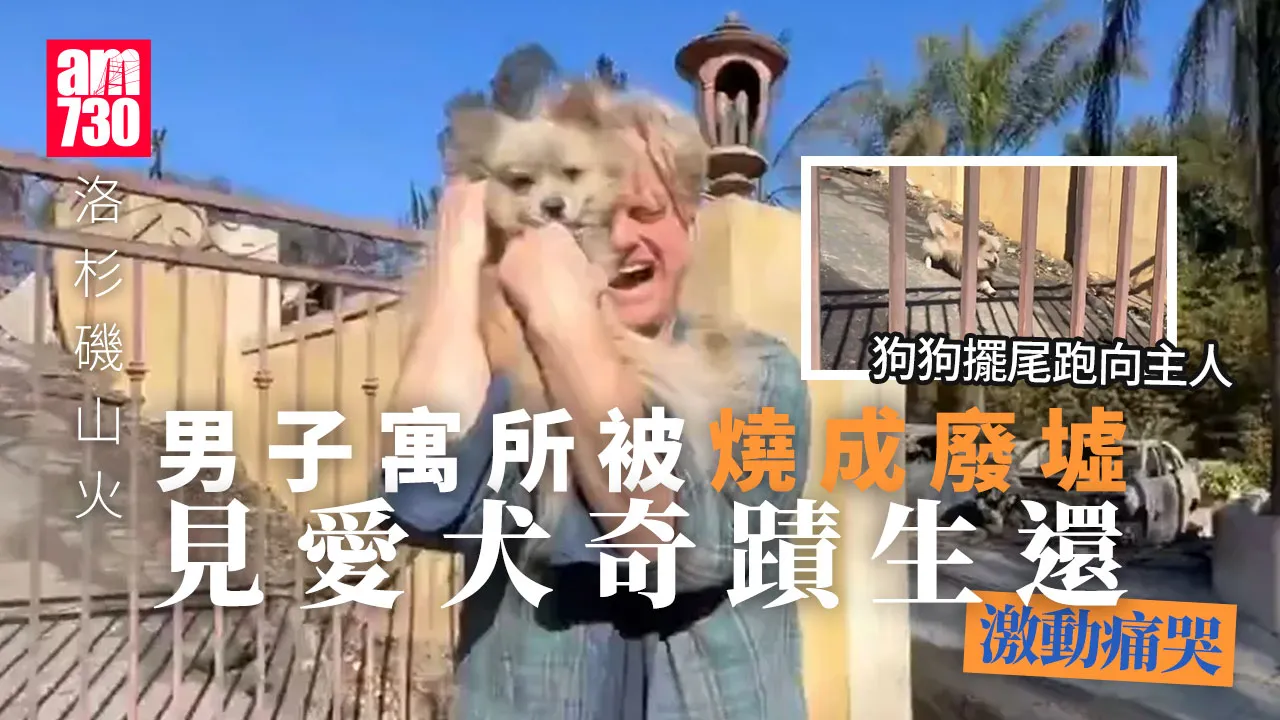 洛杉磯山火｜男子家被燒成廢墟　驚見愛犬奇蹟生還激動團聚(有片)