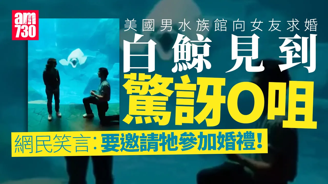 男子突下跪向女友求婚　水族館白鯨O晒咀　網民：請牠當伴娘(有片)