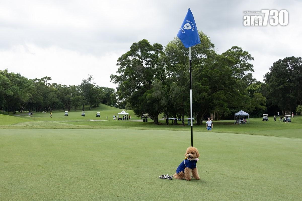 香港哥爾夫球會就粉嶺高球場環評報告的司法覆核申請，獲高等法院批出。(資料圖片／蘇文傑攝)