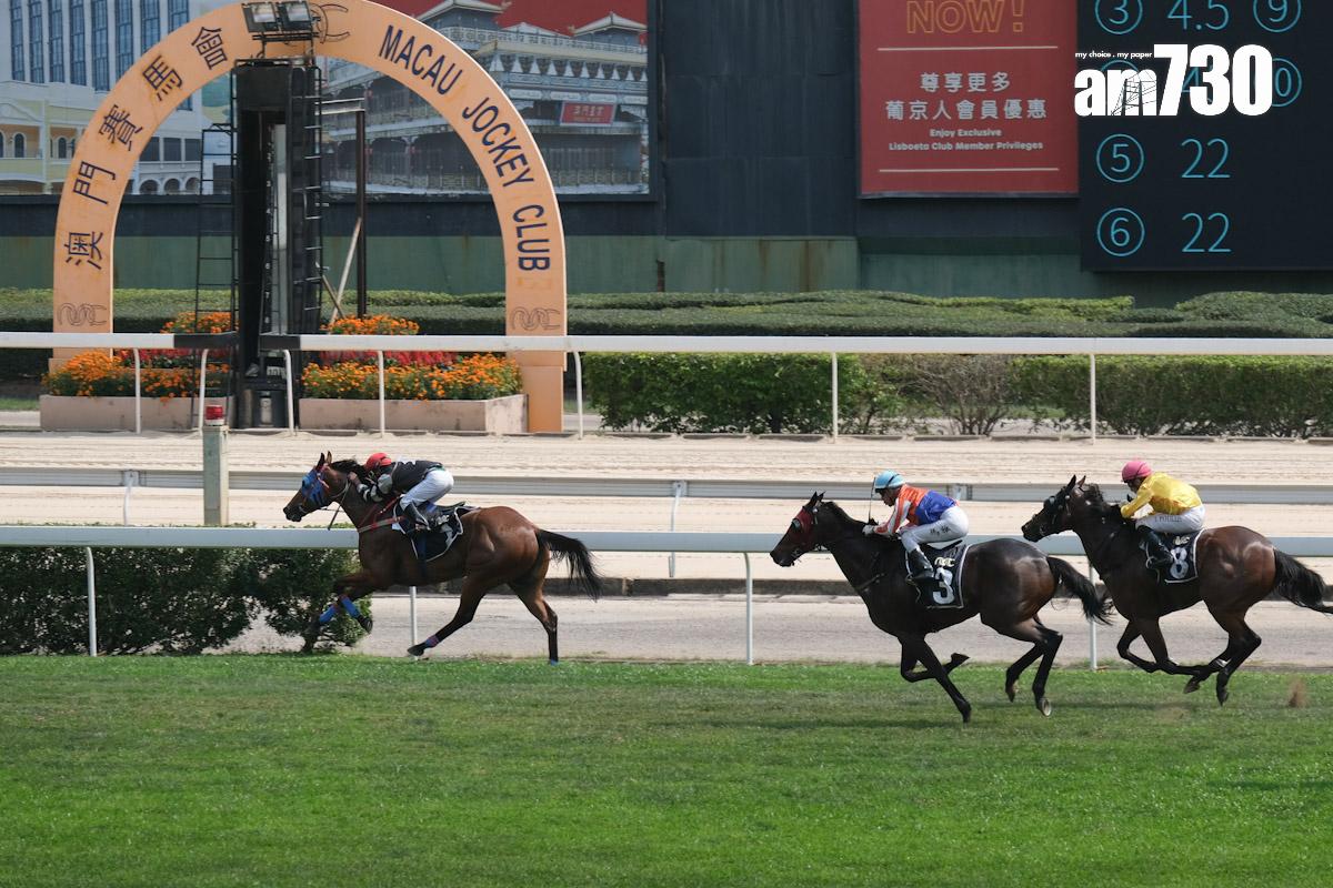 澳門賽馬會今日舉行最後一日賽事。(羅庸軒攝)