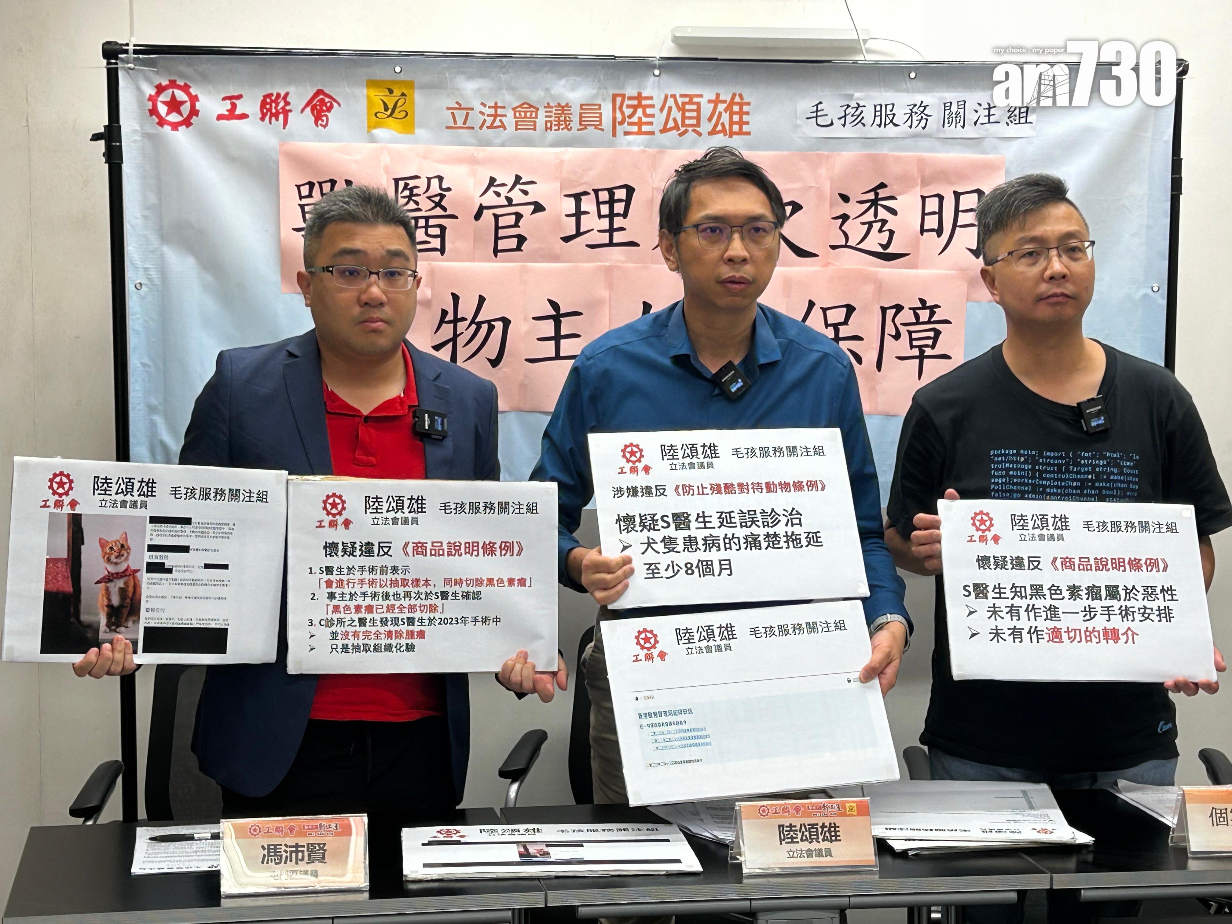 獸醫聲稱已清除腫瘤被揭僅抽組織化驗　主人質疑居心何在 (陳芷晴攝)