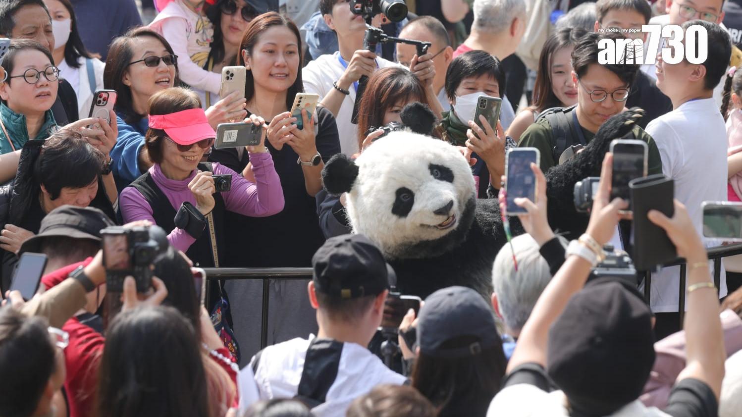 大熊貓｜全港最大型熊貓展PANDA GO　今日首站星光大道展出2500隻雕塑(吳康琦攝)