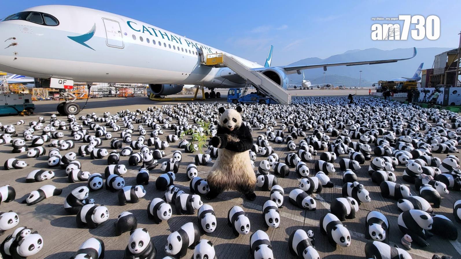 大熊貓｜PANDA GO展覽吉祥物仿真度極高　成本和法拉利相約