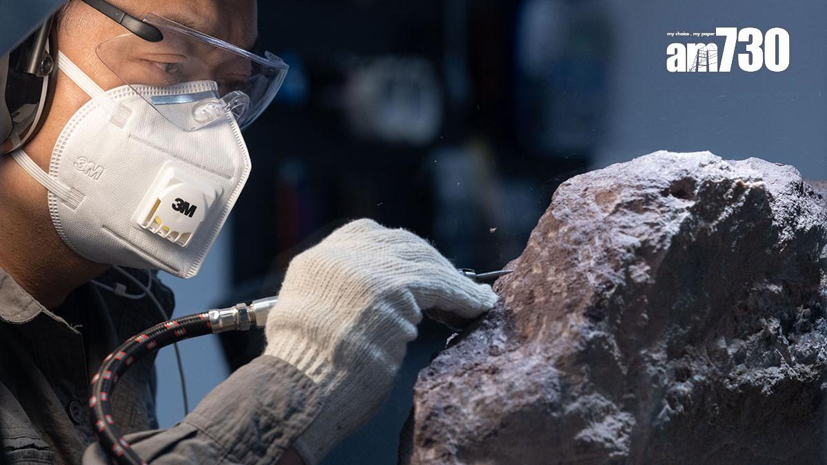 「恐龍會客室」的訪客可近距離觀看專家和工作人員清修恐龍化石。(資料圖片／蘇文傑攝)