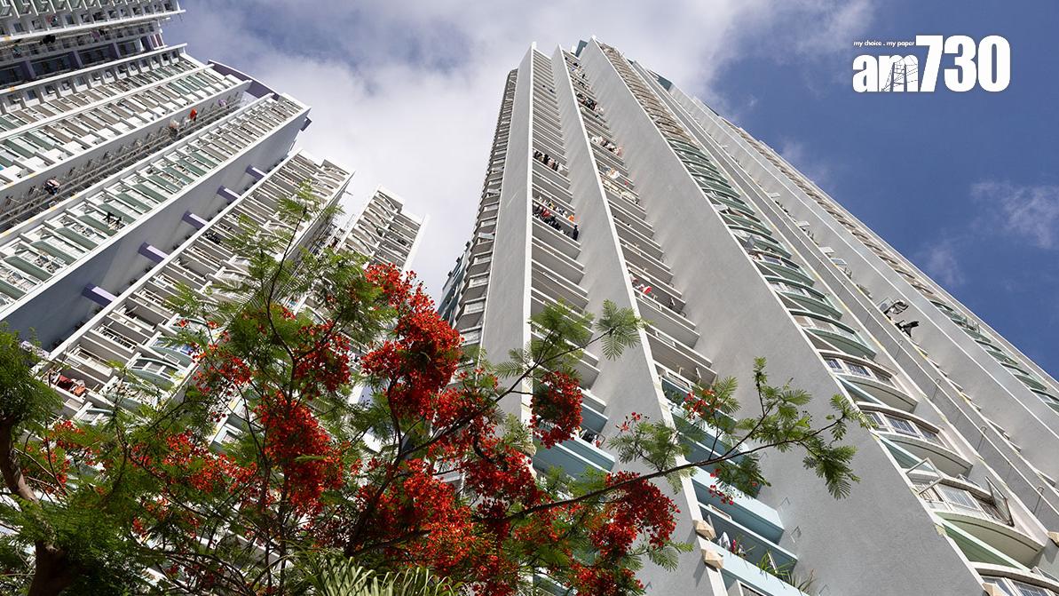 近年政府多招打擊濫用公屋。(資料圖片／蘇文傑攝)