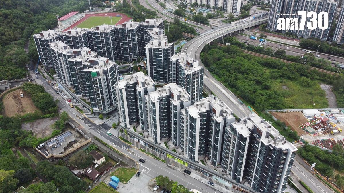 新地旗下白石角新盤標售2伙 逾1090萬沽University Hill三房戶｜一手成交