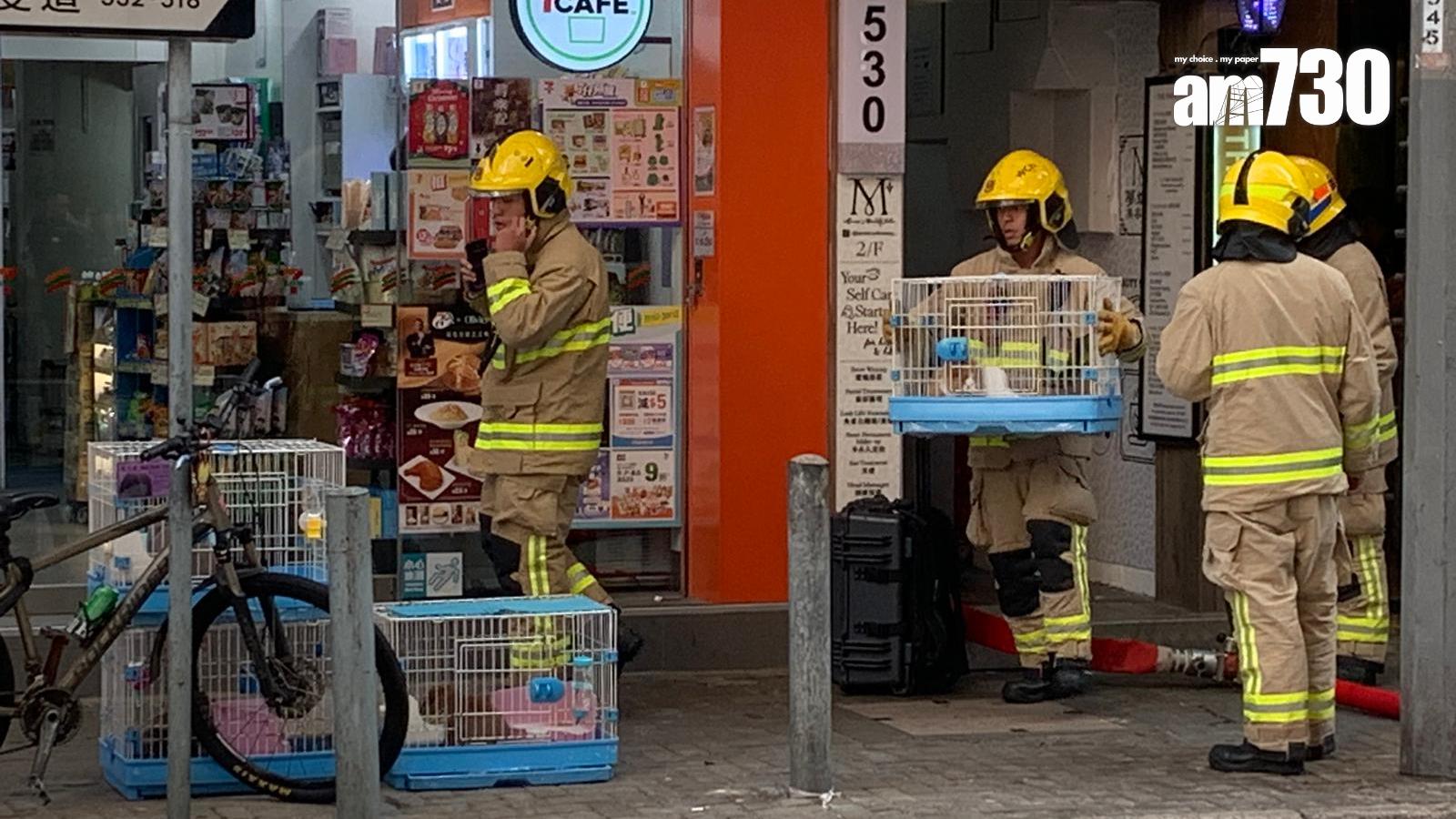 銅鑼灣寵物店火警 消防員帶寵物下樓