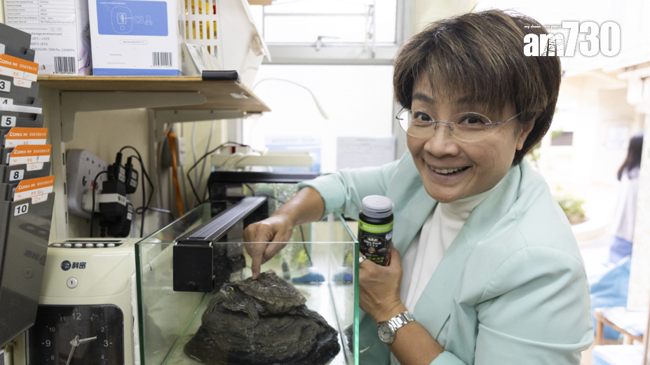 方國珊六度參選終得席位，形容如龜兔賽跑，非「贏在起跑線」(蘇文傑攝)