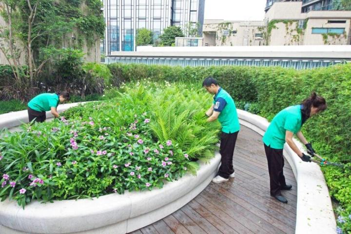 即將開展升浪 可候低吸納豐盛生活服務