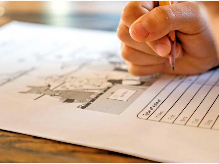 從執筆方式中觀察孩子成長